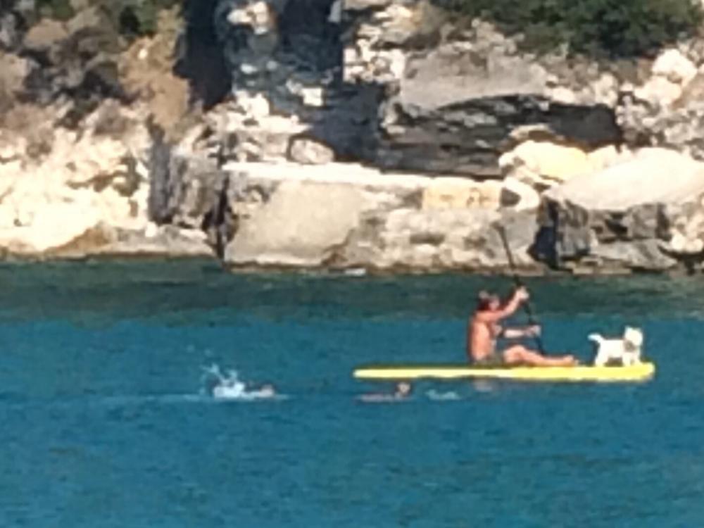 This is how the Italians take the dog ashore for a pee😊